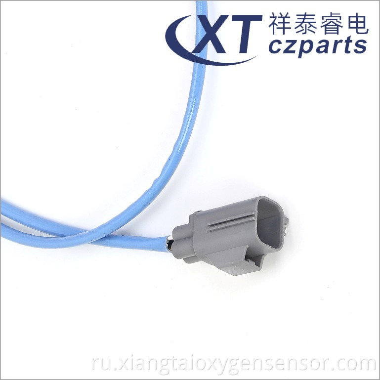 Oxygen Sensor